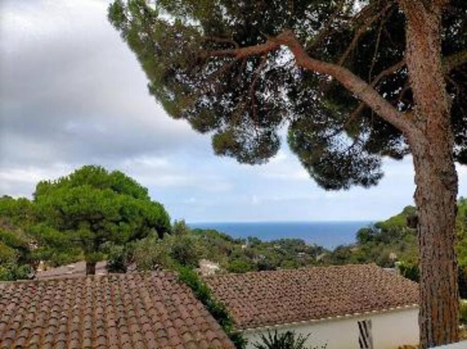 Lesal Villas Rentals, Villa Mar Azul, Tossa De Mar Exteriör bild